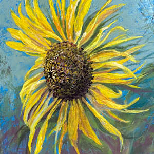 Imperfect Beauty by Lindy Cook Severns