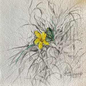 Standing Out by Lindy Cook Severns