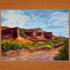 Sunkissed Canyons by Lindy Cook Severns  Image: framed in sustainable pecan molding