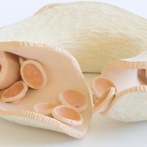 Velvet Lair by Emil Yanos 