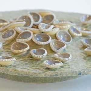 Bleaching by Emil Yanos 