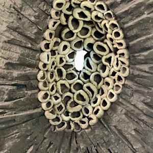 Excavation by Emil Yanos 