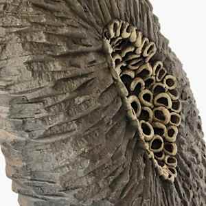 Excavation by Emil Yanos 