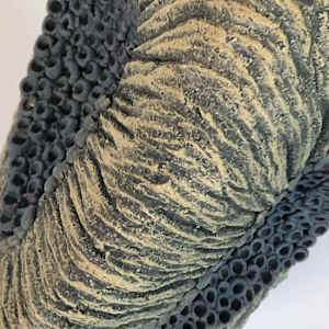 In Dreaming by Emil Yanos 