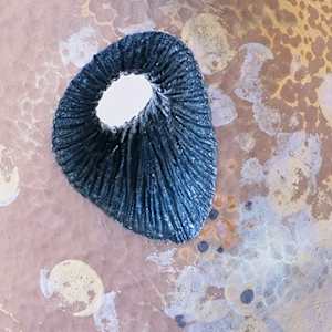 Muddy Water II by Emil Yanos 