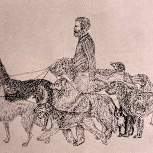Paseador de perros by Eloisa Castro 