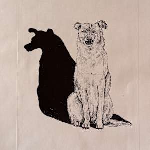 Perro by Eloisa Castro 