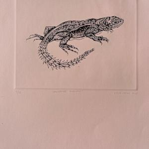 Iguana Cola de piña by Eloisa Castro