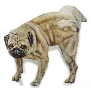Perro 25 by Mariel Castellanos