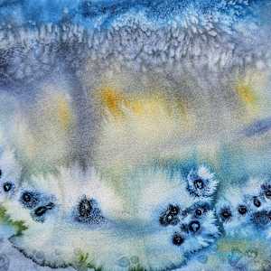 Flowers in the Rain by Stacy Hilton Klutzke, Image 1.