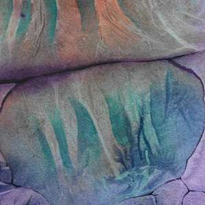 Sentinals Study by Stacy Hilton Klutzke, Image 1.