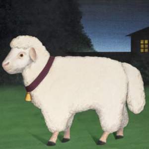 Bárány - Sheep by István Regős