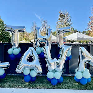 The Law of Justice by Lindsey Veil  Image: The artist’s muse.