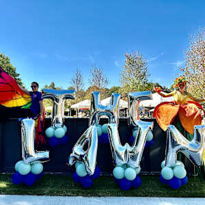 The Law of Justice by Lindsey Veil  Image: The festival on “THE LAWN” with performers in the background. 