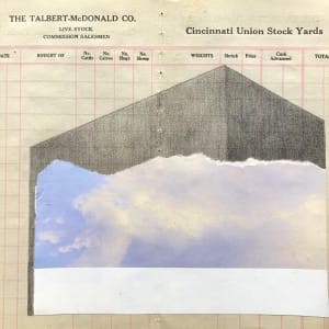 Borrowed Skies: Between Wasteland and Chaos xvi, Image 1.