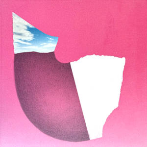 Pink9bLg_oyoobb_0 by Jennifer Printz, Image 9.
