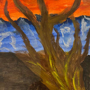 Sunset in the desert with snow capped mountains by Marie Louise Bosin, MA, Image 1.