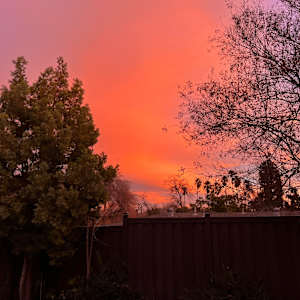 2024 Fire Season, Redlands,  California PhotoPrint by Marie Louise Bosin, MA, Image 1.