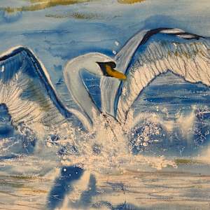 Swan Landing on Water Original Watercolor painting by Marie Louise Bosin, MA, Image 1.