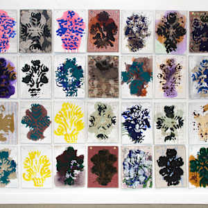 Splat by Colleen McCubbin Stepanic, Image 1.