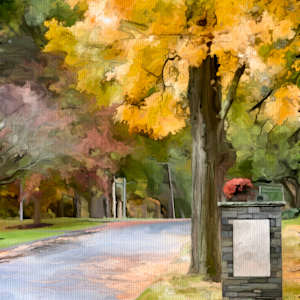 The Watchful Tree by Daniel Butler