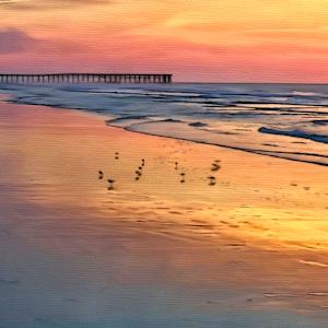 Golden sunrise with pier & shore birds - Topsail Island #4 by Daniel Butler