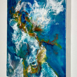 Hornemann's Seaweed by Christine Deemer 