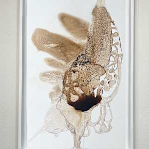 Untitled 1 by Cynthia Sumner
