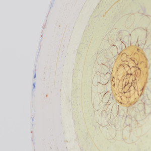 Divine Illumination 1 by Merna Liddawi 