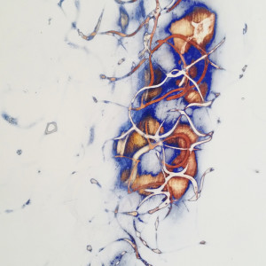 Emergent 6 by Merna Liddawi  