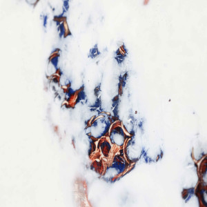 Emergent 4 by Merna Liddawi  