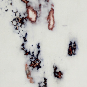 Emergent 4 by Merna Liddawi  