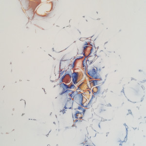 Emergent 6 by Merna Liddawi  