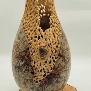 Cholla Treasure by Jill Robinson