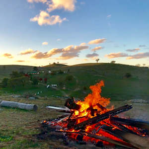 Grassfire by Michelle Graham, Image 2.
