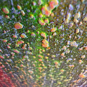 Take the trip by Michelle Graham, Image 5.