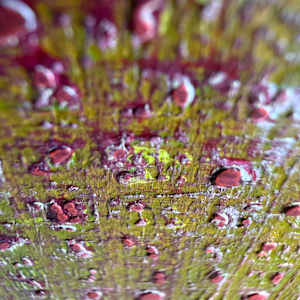 Take the trip by Michelle Graham, Image 8.
