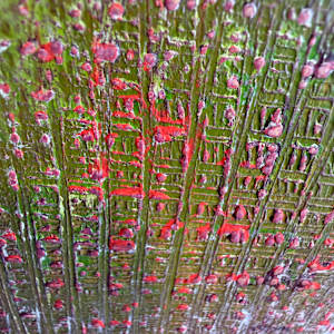 Take the trip by Michelle Graham, Image 9.