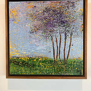 False start by Michelle Graham, Image 3.
