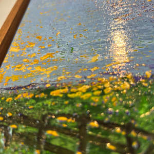 False start by Michelle Graham, Image 6.