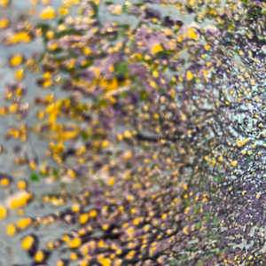 False start by Michelle Graham, Image 5.