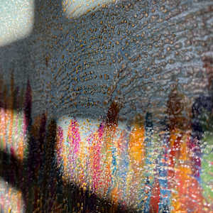 We move by Michelle Graham, Image 5.