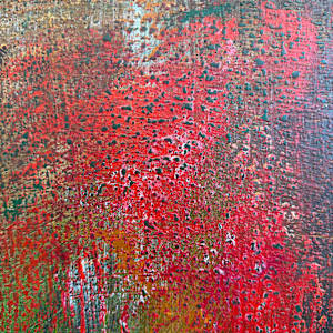 I’m back by Michelle Graham, Image 6.