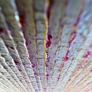 Be sure by Michelle Graham, Image 7.