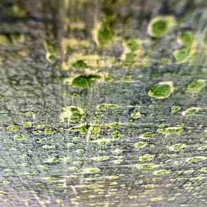 Liminal Grace by Michelle Graham, Image 10.