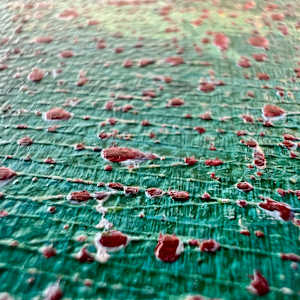 Be Present by Michelle Graham, Image 6.