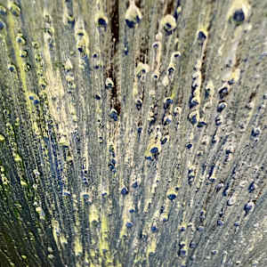Inhale by Michelle Graham, Image 6.