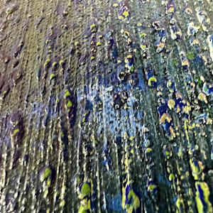 Exhale by Michelle Graham, Image 3.