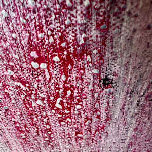 A way forward will appear by Michelle Graham, Image 7.