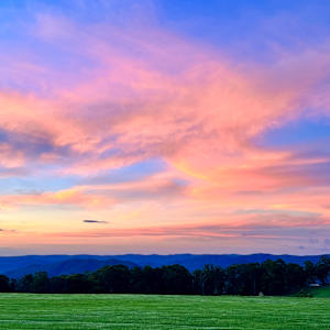 Cunningham's Glow by Michelle Graham, Image 3.